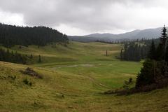 Transylvania-aug-2007_068