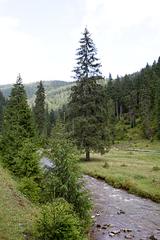 Transylvania-aug-2007_080