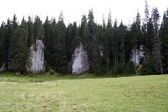 Transylvania-aug-2007_093