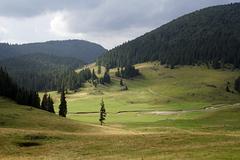 Transylvania-aug-2007_096