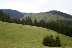 Transylvania-aug-2007_097