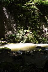 Transylvania-aug-2007_112