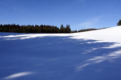 Transylvania-jan-2008_003