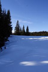 Transylvania-jan-2008_004