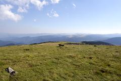 transylvania-aug-2008_005