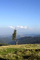 transylvania-aug-2008_008