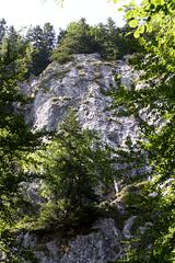 transylvania-aug-2008_078