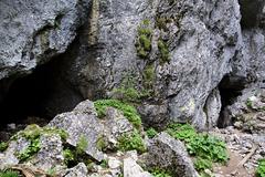 transylvania-aug-2008_132