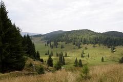 transylvania-aug-2008_137