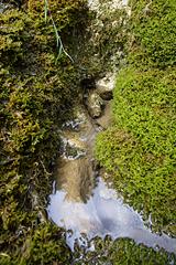 transylvania-aug-2008_156